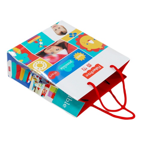 Multi Color Cloth Bag